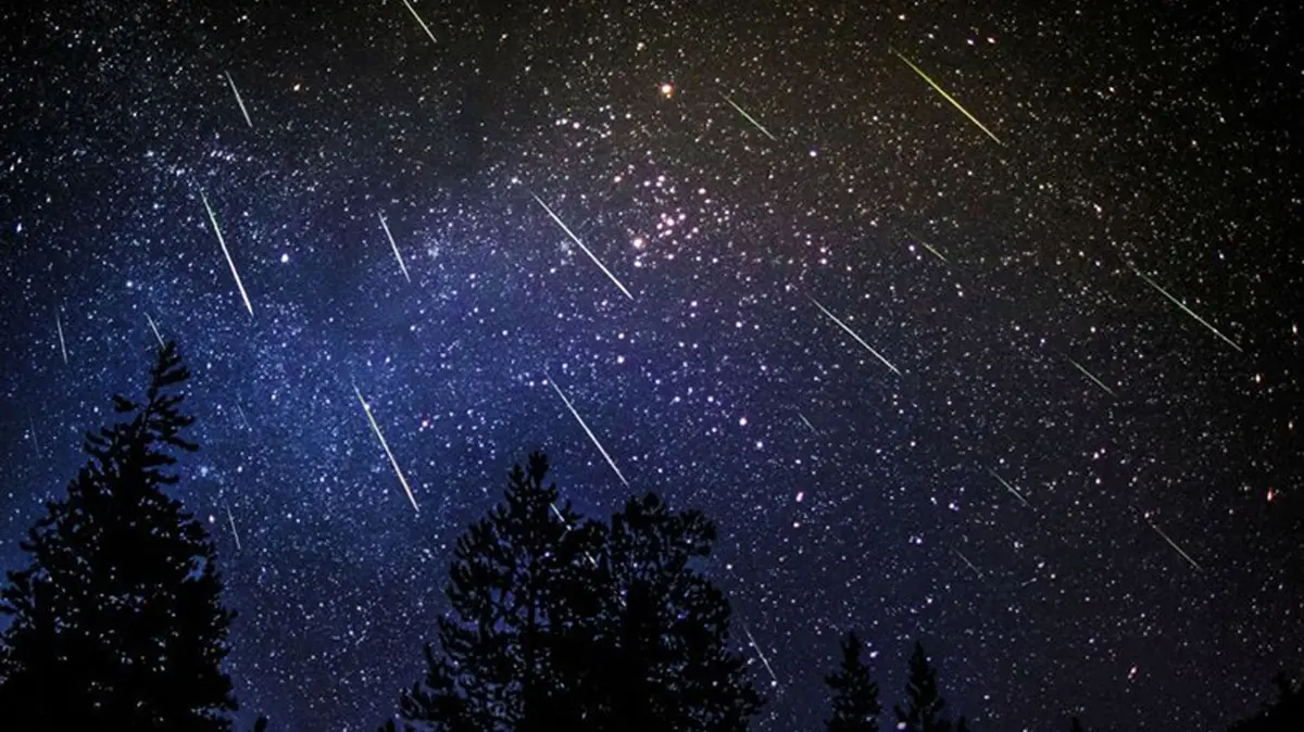 What Time is the Meteor Shower Tonight? Prof Nasir Arfat