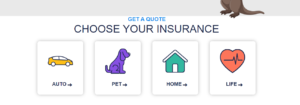 Types of otto pet insurance